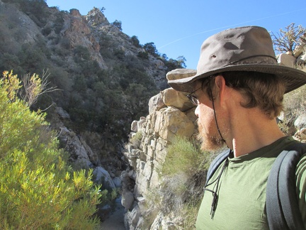 A narrow spot in the canyon, with willows growing in the canyon floor