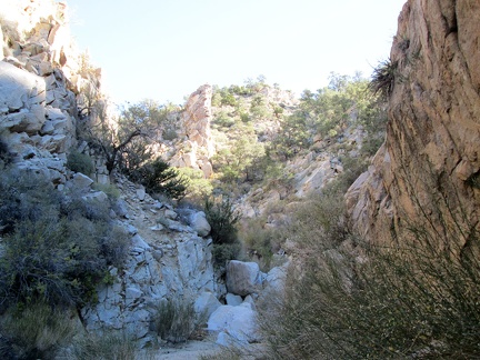 I like this canyon so far: a few more boulders to climb over ahead