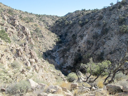 I like being up on my hill here, but there's more canyon down there for me to hike up