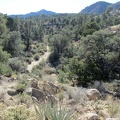 Once the canyon rises higher into a less rugged area, I decide to try continuing my hike in the canyon again