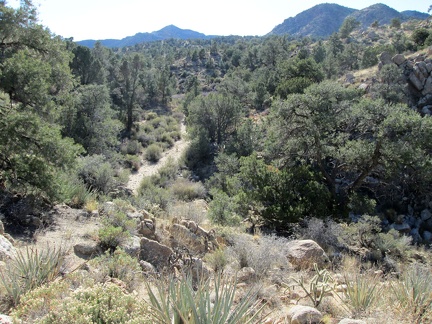 Once the canyon rises higher into a less rugged area, I decide to try continuing my hike in the canyon again