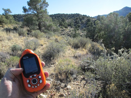 I'm now near my high point for the day (5000 feet elevation); Lecyr Spring should be not too far ahead