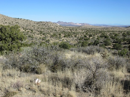 Upon leaving the Lecyr Spring area, I can see across the upper part of Lanfair Valley to the Castle Mountains