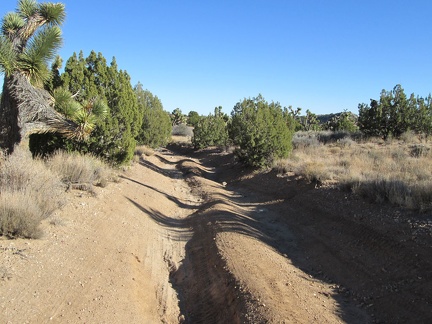 I hike down Lecyr Spring Road, which is quite eroded in places
