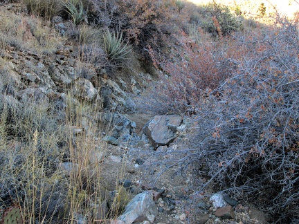 My short hike up the invisible road ends and I begin hiking down a gently sloping wash toward Ivanpah Road