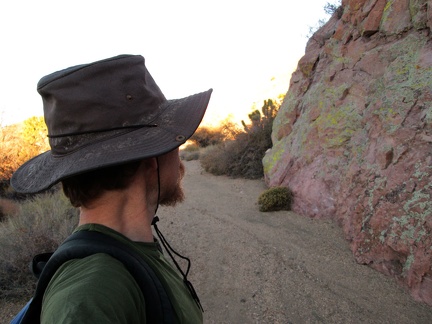 Just before arriving at Ivanpah Road, I walk past a low rock wall with lichen growing on it