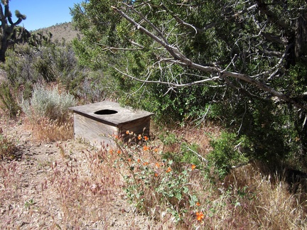 Morning at Castle Peaks Road means I get to try out the deluxe facilities while listening to the quail; it works well!