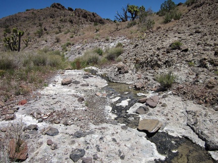 To my surprise, I find a small stream in this unnamed Castle Peaks canyon