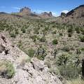 I climb up the next hill and down into a juniper-studded valley