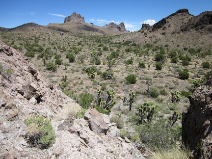 I climb up the next hill and down into a juniper-studded valley