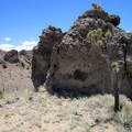 I climb over the next hill (a 75-foot rise), upon which I find a boulder with a tuft of cactus on its head