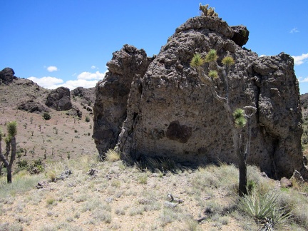 I climb over the next hill (a 75-foot rise), upon which I find a boulder with a tuft of cactus on its head