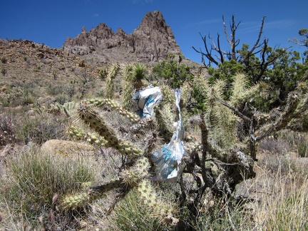 Six minutes after my first balloon discovery, I stumble across a second one in the same Castle Peaks wash