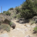 Hiking down this Castle Peaks wash is fun (it's a bit downhill), and then I reach this fairly recent barbed-wire fence