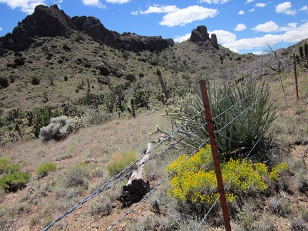 I climb out of the wash and crawl under the barbed-wire fence again, in order to continue hiking toward Indian Spring