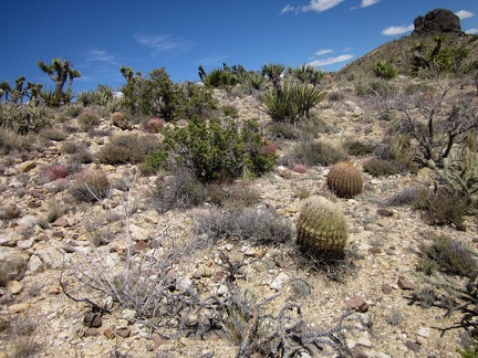 I climb over several low hills on my cross-country route toward Indian Spring