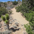 As I drop down into yet another wash, I realize I'm quite close to Taylor Spring (dry), where I hiked last year