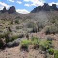 I leave Indian Spring and start my way cross-country up to a saddle between two sets of pinnacles in the Castle Peaks