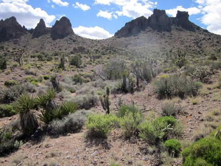 I leave Indian Spring and start my way cross-country up to a saddle between two sets of pinnacles in the Castle Peaks