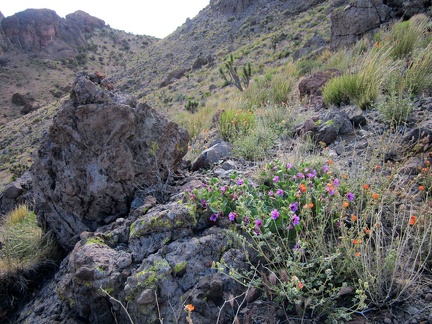 Instead of dropping down into the valley, I decide to skirt along this hill and hike over to the next Castle Peaks saddle