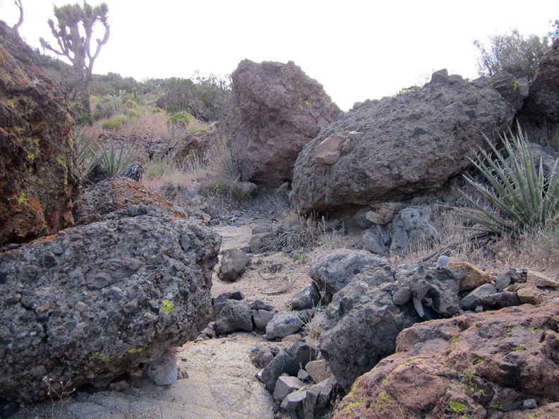  I walk up a boulder-strewn drainage area toward that pass in the Castle Peaks