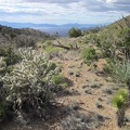  I reach this pass in the Castle Peaks and have an unexpected view to the north across the Ivanpah Valley