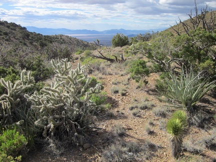  I reach this pass in the Castle Peaks and have an unexpected view to the north across the Ivanpah Valley