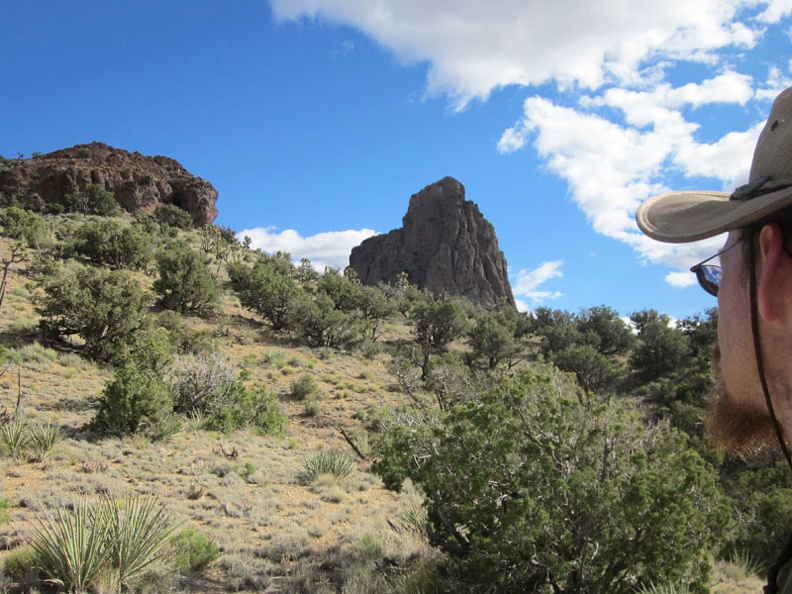 One short, steep hill and I'll be up at the next Castle Peaks pinnacles