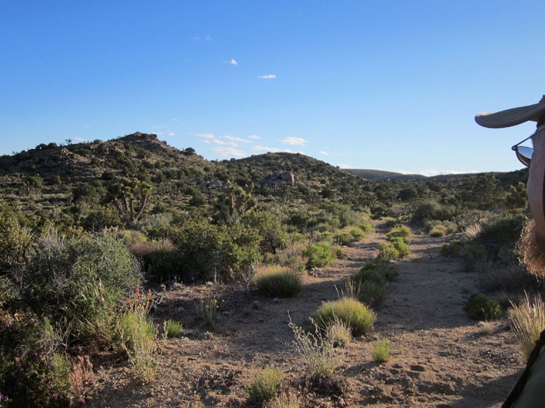 After another 20 minutes, I reach the top of the wash and locate the old Castle Peaks road