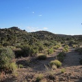 After another 20 minutes, I reach the top of the wash and locate the old Castle Peaks road