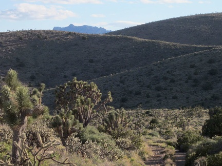 The old Castle Peaks road leaves the pinnacles area and dips down between rolling hills on the way back to my campsite