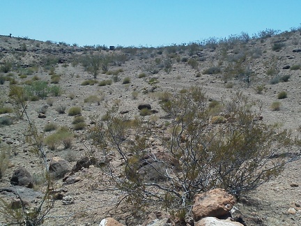 The old road to Cave Spring is easy to lose at first, but I eventually find it and follow it up a gentle hill