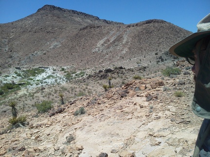 I see a bit of greenery over there; that must be Cave Spring