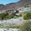 Yes, Cave Spring, Mojave National Preserve, just ahead