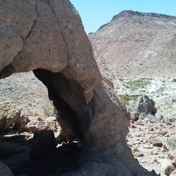 Day 13: Cave Spring hike, Mojave National Preserve