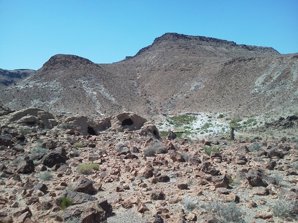 I walk away from the rocks igloos to further explore the area near Cave Spring