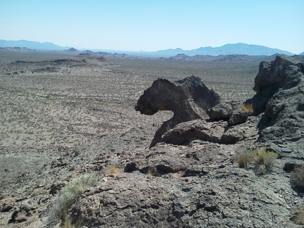 Bighorn-sheep-head rock?