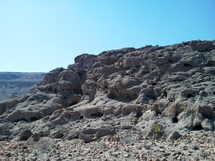 So many little holes in the rocks provide shelter for wildlife
