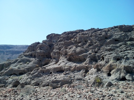 So many little holes in the rocks provide shelter for wildlife