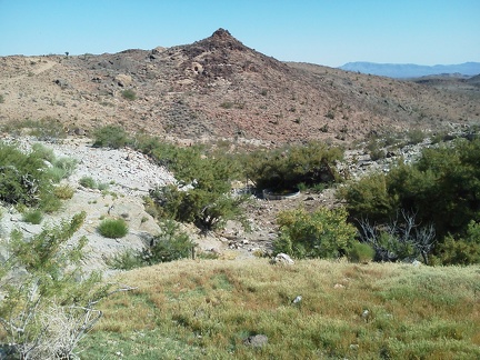 I walk though the Cave Spring area again on this short and pleasantly aimless hot-weather hike