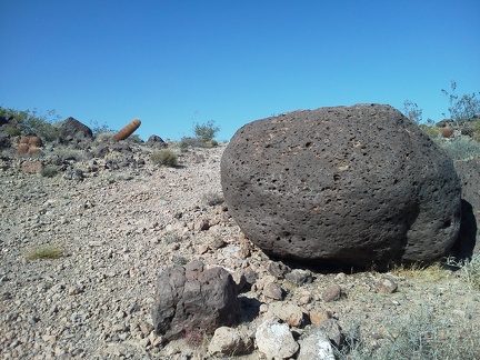 Hmm, a leaning barrel cactus ahead