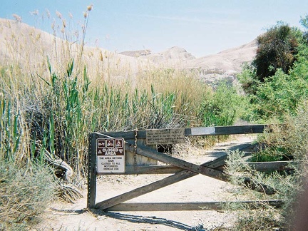 I begin a long walk down the Amargosa River