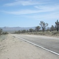 The six-mile ride down the Cima Road hill to the Cima Store, 800 feet below, is a blast