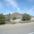 The dirt road ends and I walk across Cima Road to reach the Teutonia Peak Trail, looking back to Kessler Peak