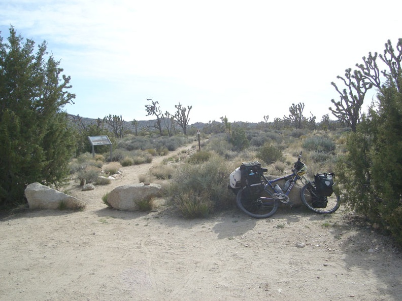 The two-mile trail to Teutonia Peak is one of just two official, maintained trails in the expansive Mojave National Preserve