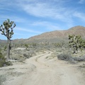 I walk the last 1/2 mile down the dirt road to my Cima Dome campsite for one last night in Mojave National Preserve