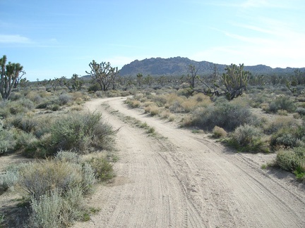 The road curves and aims toward Teutonia Peak as it heads back to the paved Cima Road