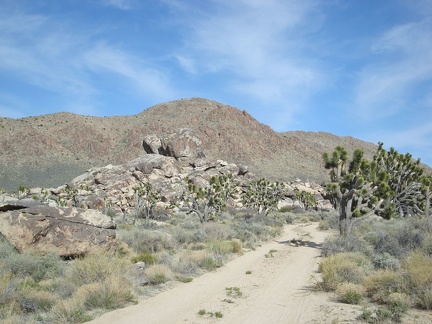 After a lazy morning, I start hiking the half mile up the dirt road that leads from my campsite to Cima Road