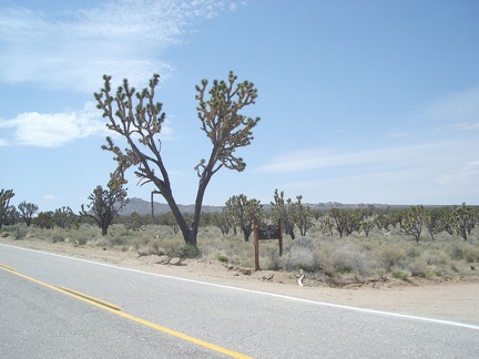 View of Teutonia Peak from the Valley View Ranch area