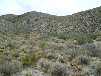 I start the one-mile climb up the hills ahead on the way to Copper World Mine